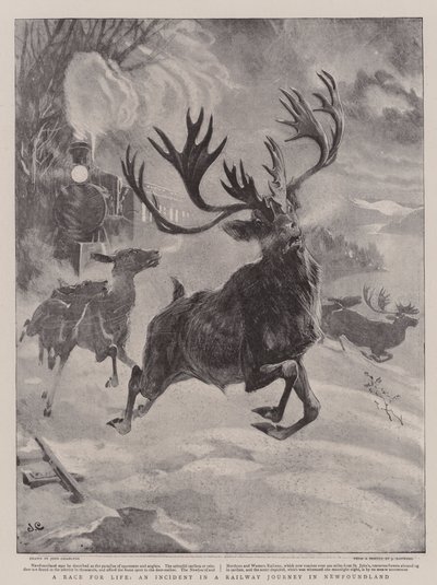En tävling för livet, en händelse under en järnvägsresa i Newfoundland av John Charlton